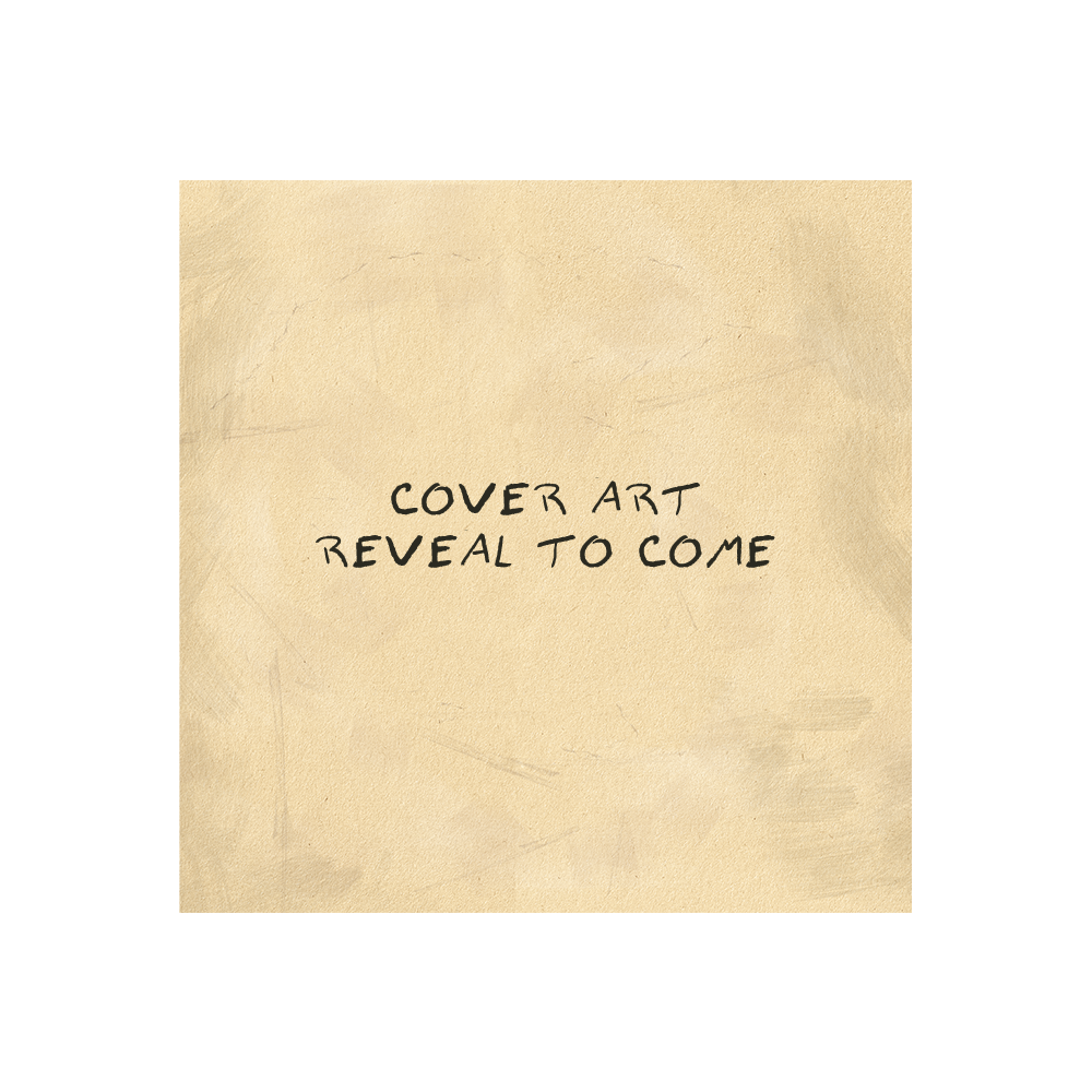 Vinyl - Morgan Wallen Official Store