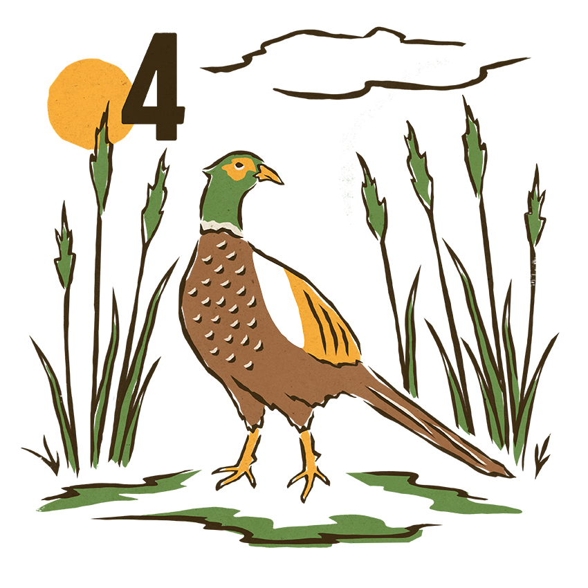 Club Wallen Cat Card 4