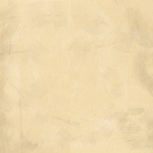 I’m The Problem Tour Poster - Morgan Wallen Official Store