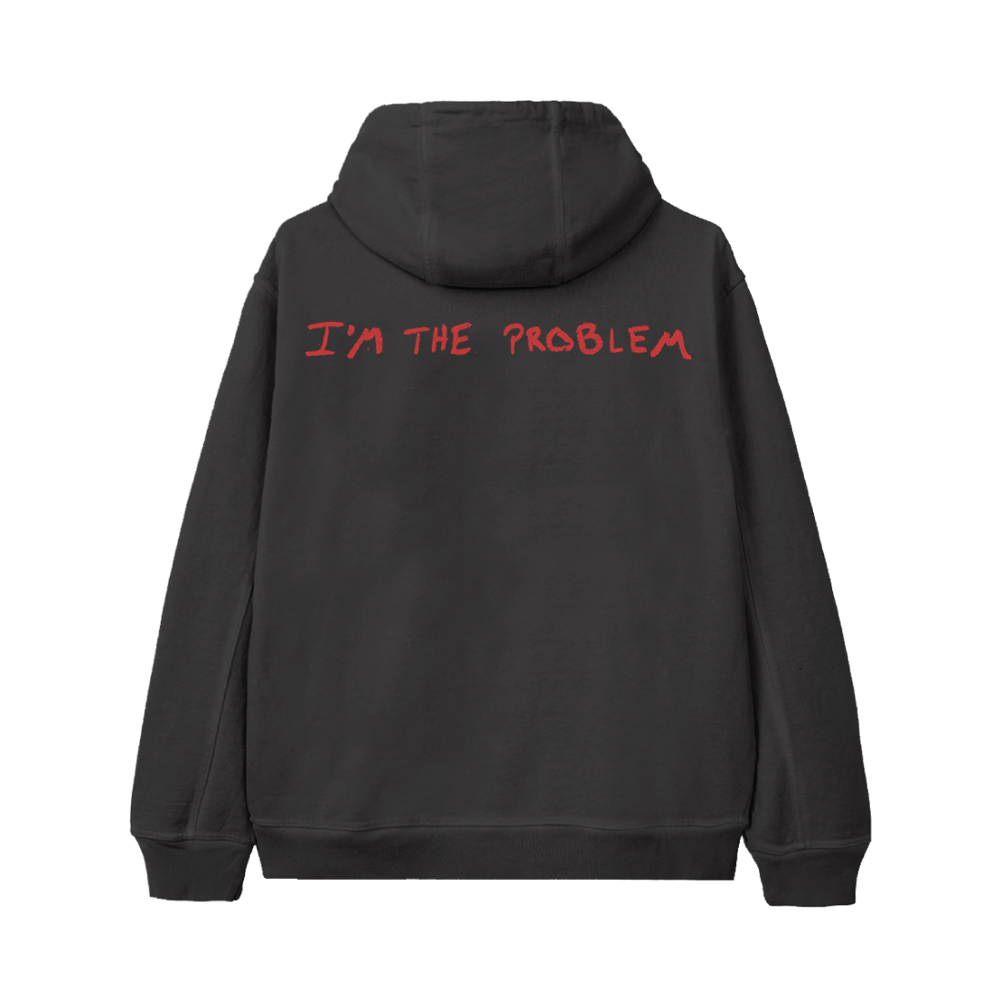 I’m The Problem Album Cover Hoodie Back